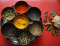 Spices In Stainless-steel Bowls Along With Herbs