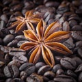 Spices; star anise on the background of coffee beans