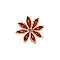 Spices. star anise
