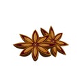 Anise stars spice close up illustration