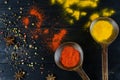 Spices turmeric and paprika in a wooden spoon on a dark background