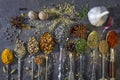 Spices used to add flavor to cooking Royalty Free Stock Photo