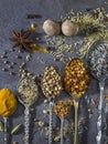 Spices used to add flavor to cooking Royalty Free Stock Photo