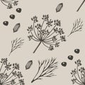 Vector background with hand drawn herbs and spices. Hand drawn ink illustration. Organic and fresh spices illustration Royalty Free Stock Photo