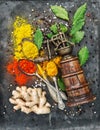 Spices vintage pepper mill Curry paprika powder Food background