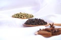 Spices on white background