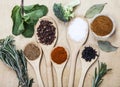 Spices on wooden spoons