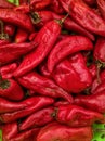 Spicey red chillies vertical stock photo