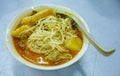 Spicy Asian Curry Laksa noodle Soup
