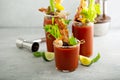 Spicy bacon bloody mary Royalty Free Stock Photo