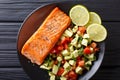 spicy baked salmon steak and fresh vegetable salad close-up. horizontal top view Royalty Free Stock Photo