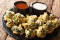 Spicy breaded vegetarian broccoli baked with parmesan served with sauces. horizontal