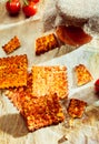 Spicy cheesy Italian dried crackers