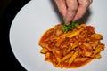 Spicy chicken arrabiata pasta dish Royalty Free Stock Photo