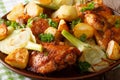 Spicy chicken baked with fennel and potatoes close-up. horizontal