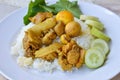 Spicy chicken curry with vegetable on plain rice