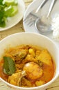 Spicy chicken with egg spoiled while being incubated curry and rice Royalty Free Stock Photo