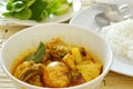 Spicy chicken with egg spoiled while being incubated curry and rice Royalty Free Stock Photo