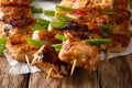Spicy chicken kebab with green onion close-up on parchment. horizontal