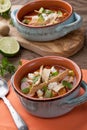 Spicy Chicken Tortilla Soup Royalty Free Stock Photo