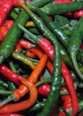 Spicy chili. Astrakhan pepper on a white background. To give taste, sharpness and piquancy to the prepared dish. The ingredient fr