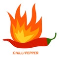 Spicy chili pepper in fire. Spice, hot food. Asian and Mexican kitchen icon.