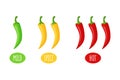 Spicy chili pepper level in flat design. Mild spicy and hot taste. Vector illustration on white background. Royalty Free Stock Photo