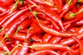 Spicy chilli pepper Royalty Free Stock Photo