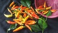 So spicy chillies Royalty Free Stock Photo