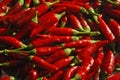 Spicy chillies