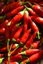 Spicy chillies Royalty Free Stock Photo