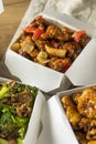 Spicy Chinese Take Out Food