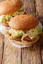 Spicy Chipotle Chicken Cemita Sandwich  close-up. vertical Royalty Free Stock Photo