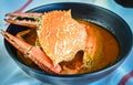 Spicy Crab Curry Royalty Free Stock Photo