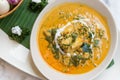 Spicy crab curry soup Royalty Free Stock Photo