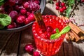 Spicy cranberry cocktail with cinnamon