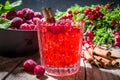 Spicy cranberry cocktail with cinnamon