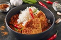 Spicy Crispy Fried Pork Fillet with Curry and Rice Royalty Free Stock Photo