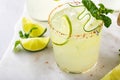 Spicy cucumber margarita with a ribbon of cucumber and lime slices Royalty Free Stock Photo