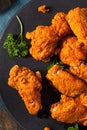 Spicy Deep Fried Breaded Chicken Wings Royalty Free Stock Photo