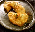 Spicy deep-fried dumplings with vegetarian filling Royalty Free Stock Photo