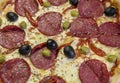 Spicy devil`s pizza with salami slices and red pepper pods pepperoni and black olives Royalty Free Stock Photo