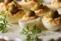 Spicy deviled eggs garnished with green olives on white plate Royalty Free Stock Photo