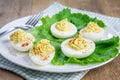 Spicy deviled eggs Royalty Free Stock Photo