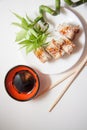 Spicy eel rolls on white Royalty Free Stock Photo