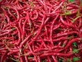 Spicy Elegance: Curly Red Chili Peppers