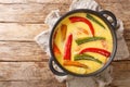 Spicy Ema datshi the national dish of Bhutan is an easy to make hearty soup with chilli peppers and cheese closeup in the pan.