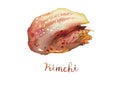 Hand drawn, watercolor illustration on white isolate background. Kimchi - Traditional Korea Food. Health Benefits food.