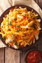 Spicy fast food: French fries with cheddar cheese, chili and chi Royalty Free Stock Photo