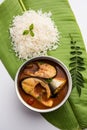 Spicy Fish curry - popular Indian seafood served with rice Royalty Free Stock Photo